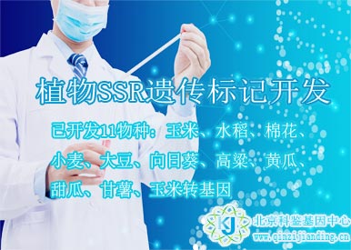 植物SSR遗传标记开发